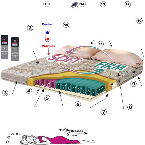 Theuberbed 2025